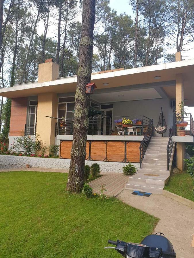 Shekvetili Big Wonder Βίλα Εξωτερικό φωτογραφία